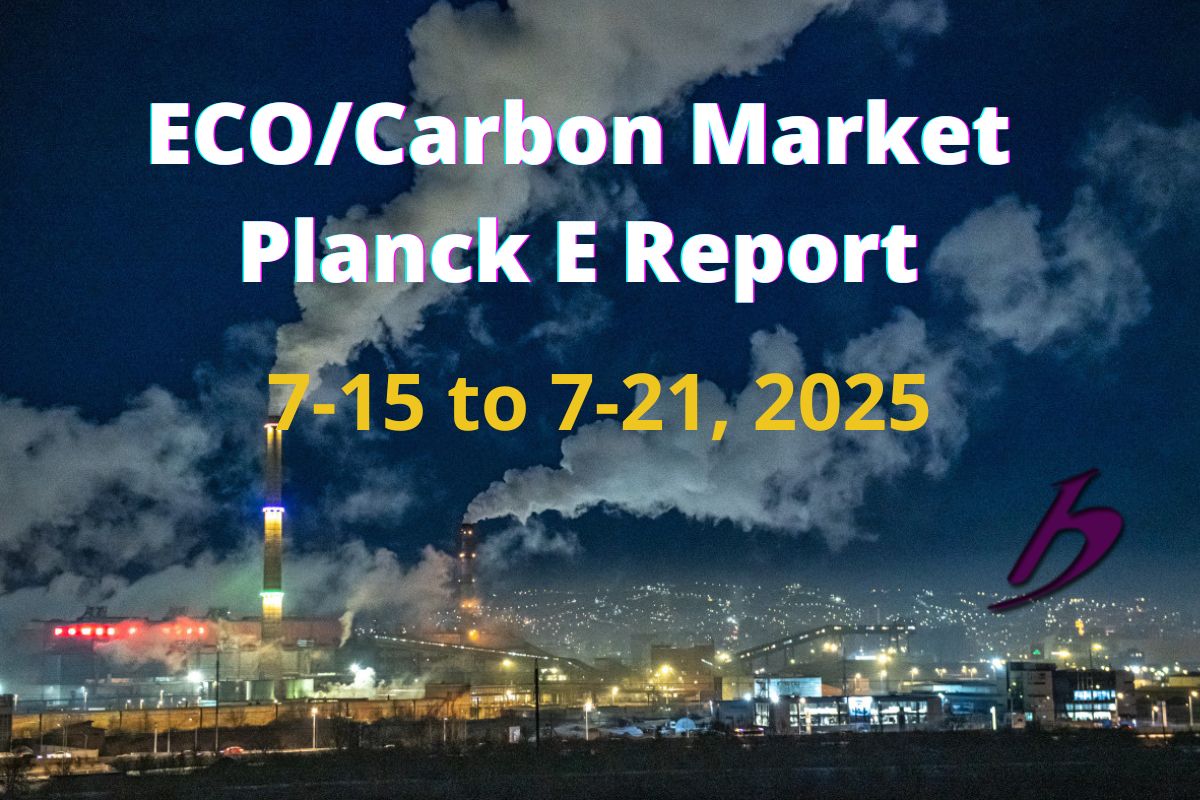ECO/Carbon Market Report #144/2025
